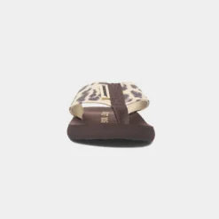 Rocket Dog Adios Dexter Womens Brown Flip Flop